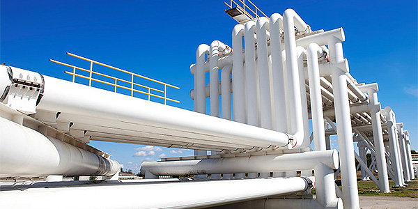 專(zhuān)業(yè)布局